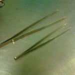 Plain and toothed forceps