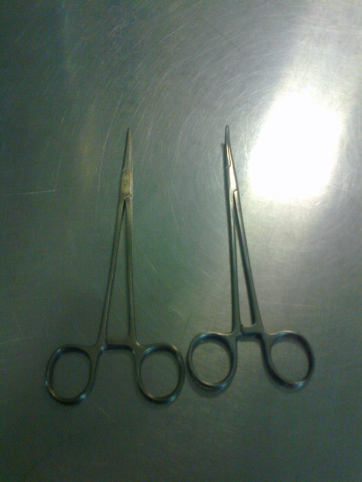 Straight and curved artery forceps